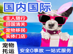 漠河航空邮寄国际宠物托运 【国